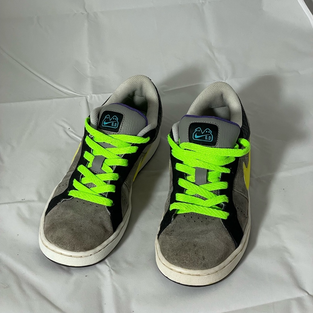 Nike SB Isolate